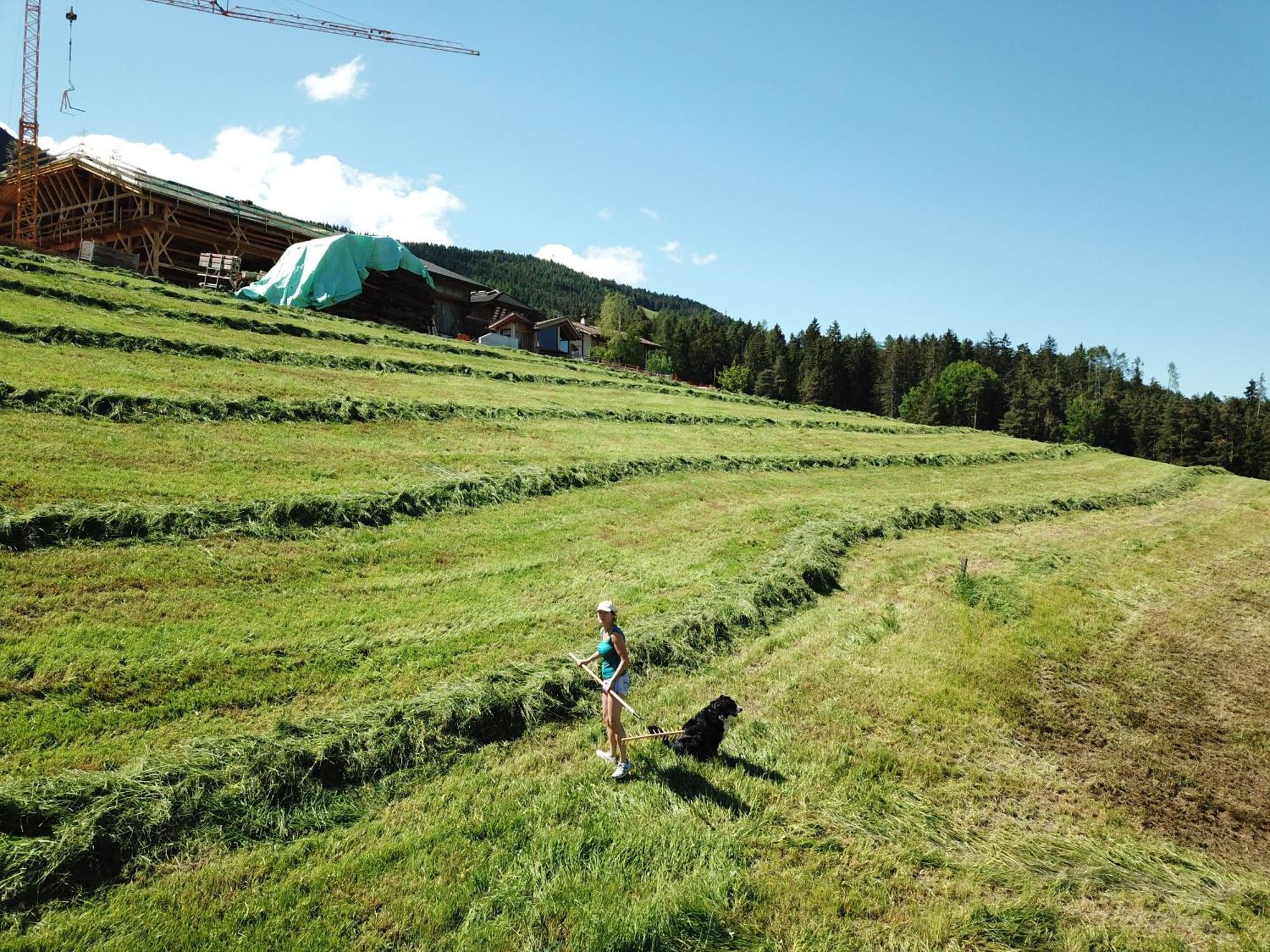 Willa Hof Zerund Castelrotto Zewnętrze zdjęcie